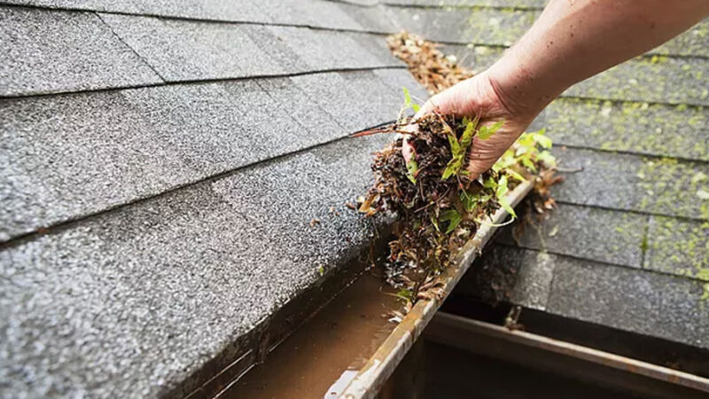 Gutter Cleaning Near Me San Mateo