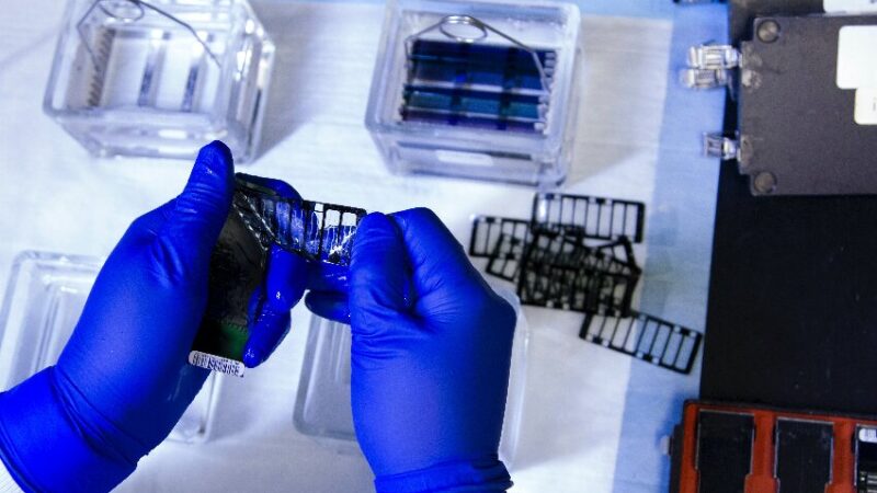CD BioGlyco Upgrades Glycan Release Service to Ensure Fidelity at the Source of Glycomics Data
