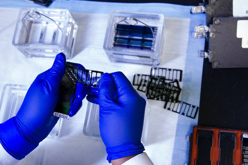 CD BioGlyco Upgrades Glycan Release Service to Ensure Fidelity at the Source of Glycomics Data